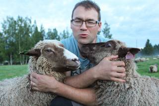 A man with sheeps in Koivusalo cottage.