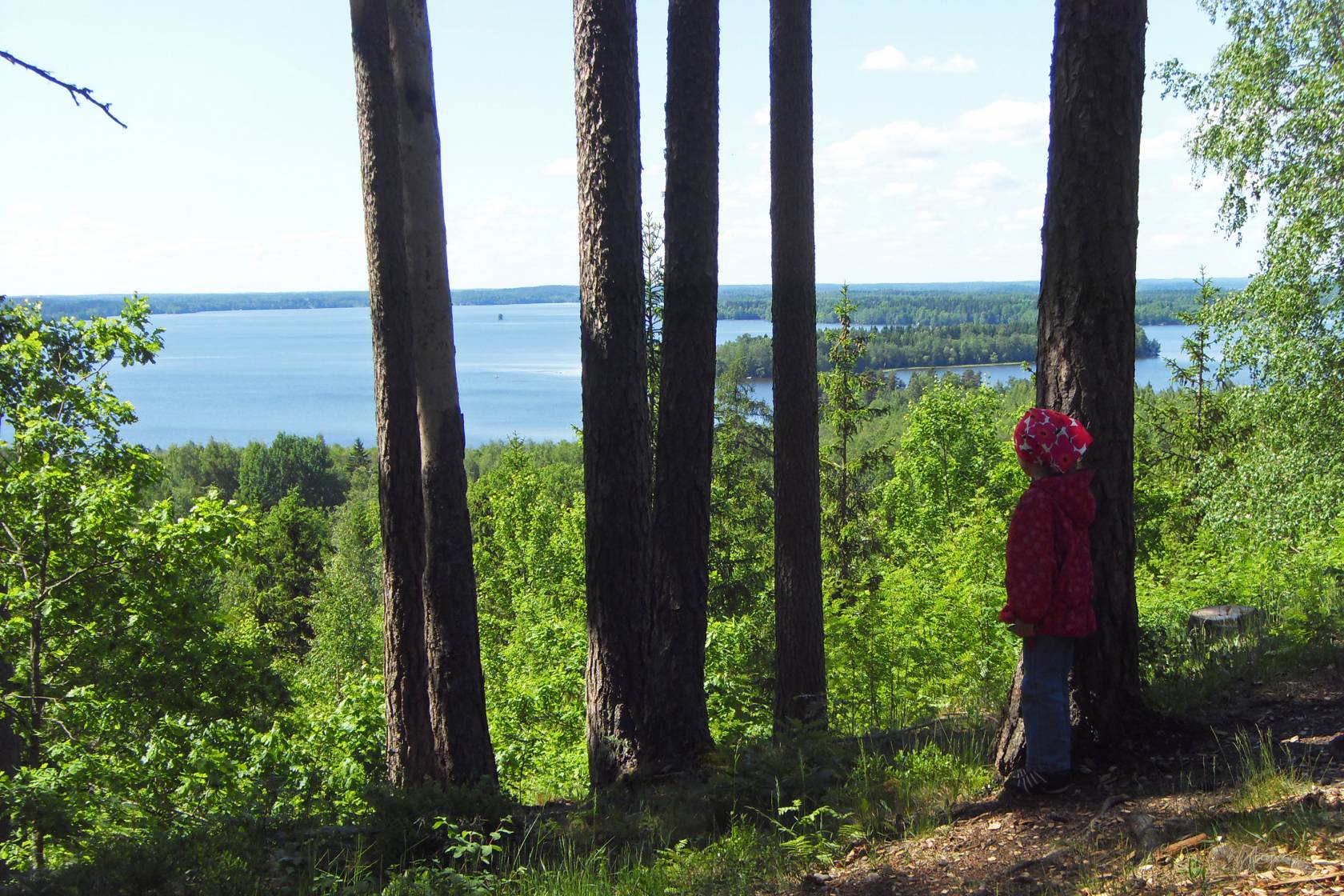 The landscape from the top of Rapola Ridge