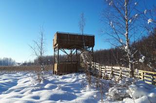 Vallonjärven luontopolun lintutorni aurinkoisena talvipäivänä lumisessa maisemassa.