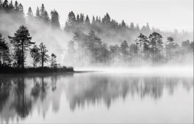 Sumu nousee järven pinnasta.