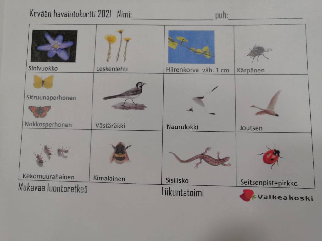 Luontobongaus-tehtävä lastentapahtumassa.