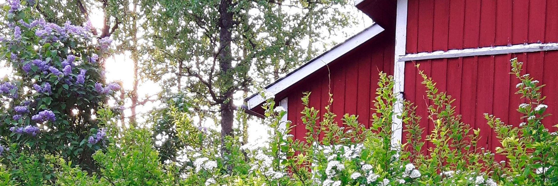 A cottage in Koivusalo Valkeakoski.