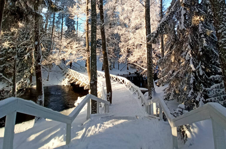 Riippusiltojen lenkin luminen silta puiden ympäröimänä.