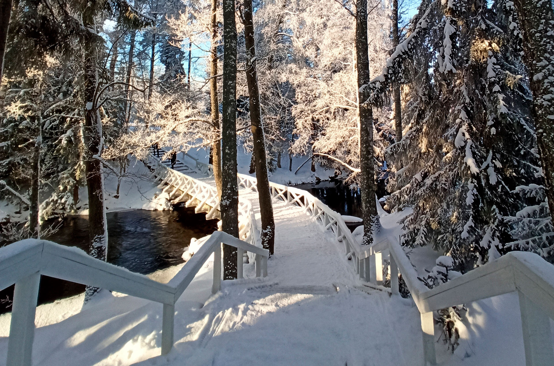Riippusiltojen lenkin luminen silta puiden ympäröimänä.