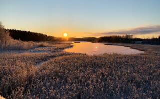 Vallonjärvi kuvattuna lintutornista talvella auringonlaskun aikaan.