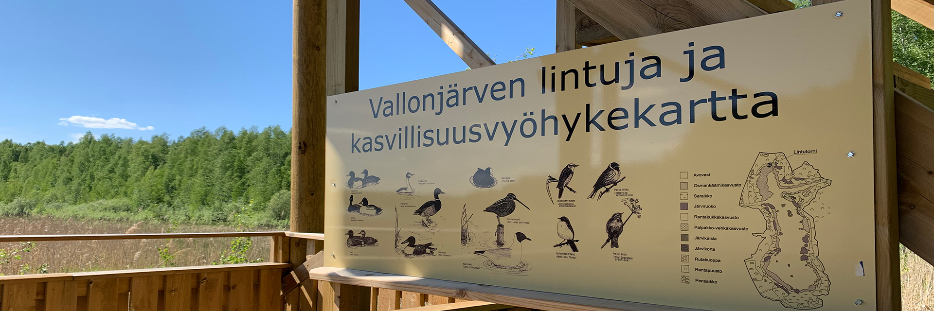Opaskartta Vallonjärven lintutornin linnuista ja kasvillisuudesta.