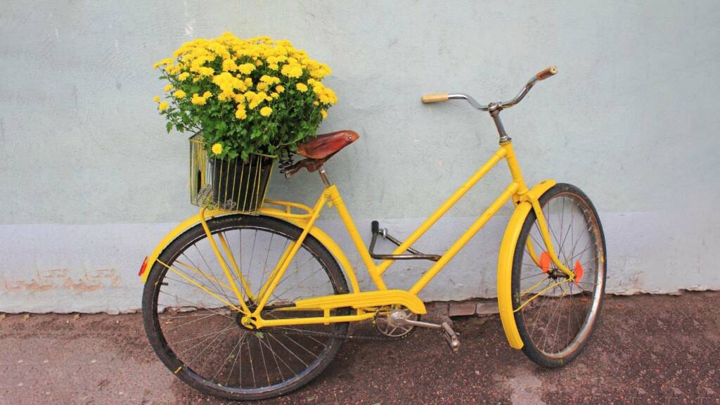 Vanha polkupyörä nojaa betoniseinään. Pyörän tarakalla on kori jossa on on kukkia.