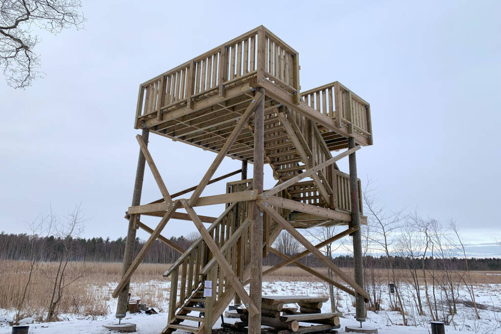 Saarioispuolen lintutorni Valkeakoskella.