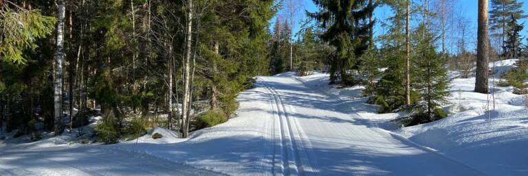 Hiihtolatu metsän keskellä Korkeakankaalla Valkeakoskella.