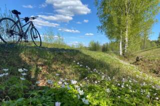Polkupyörä maalaismaisema taustalla Valkeakoskella.