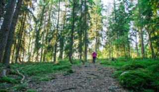 Nainen ulkoiluttaa koiraa metsässä Rapolanharjulla.