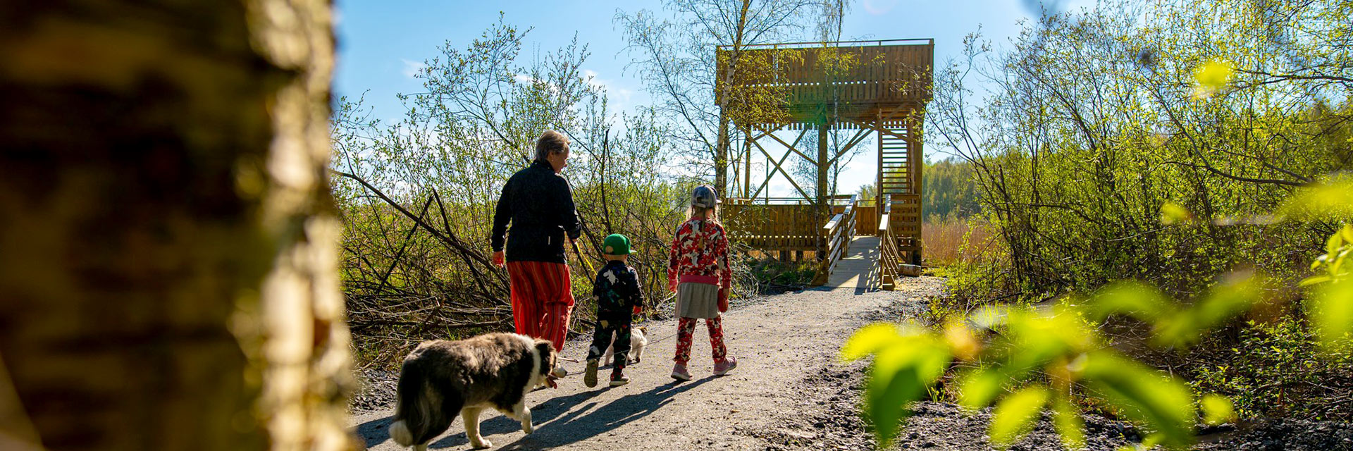 Perhe ja kaksi koiraa kävelemässä kohti Vallonjärven lintutornia.