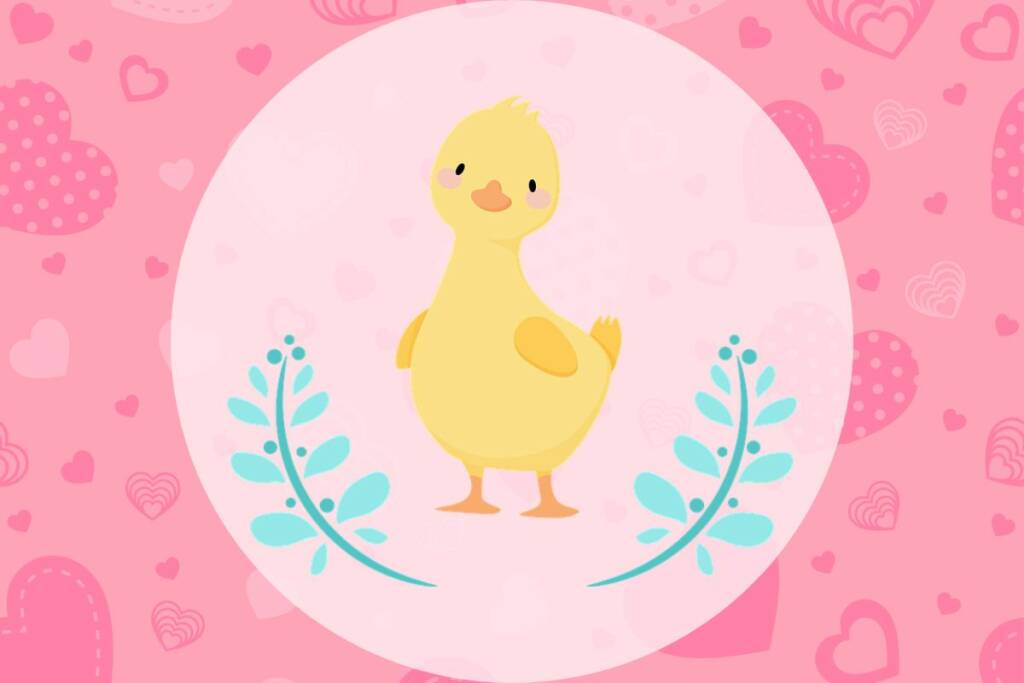 Graafinen kuva ankasta.