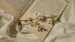 Omenapuun kukkia kirjan päällä.