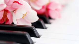 Pianokoskettimet sekä kirsikankukat.