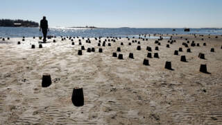 Rannalla on iso määrä tehtyjä hiekkakakkuja ja mies kantaa ämpäreitä, joissa hiekkaa.