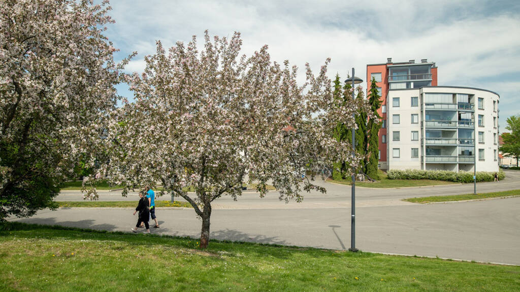 Kesäinen kuva Valkeakosken keskustasta, etualalla kukkivat puut ja kaksi ohi kävelevää henkilöä sekä taka-alalla kerrostalo.