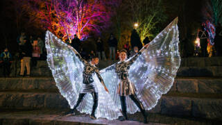 Valotanssijat seisovat Lepänkorvan puiston kiviportailla värivalojen loisteessa.