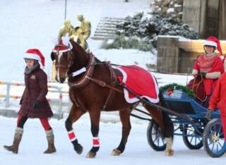 Joulureki Ilolan maatilan pihassa.