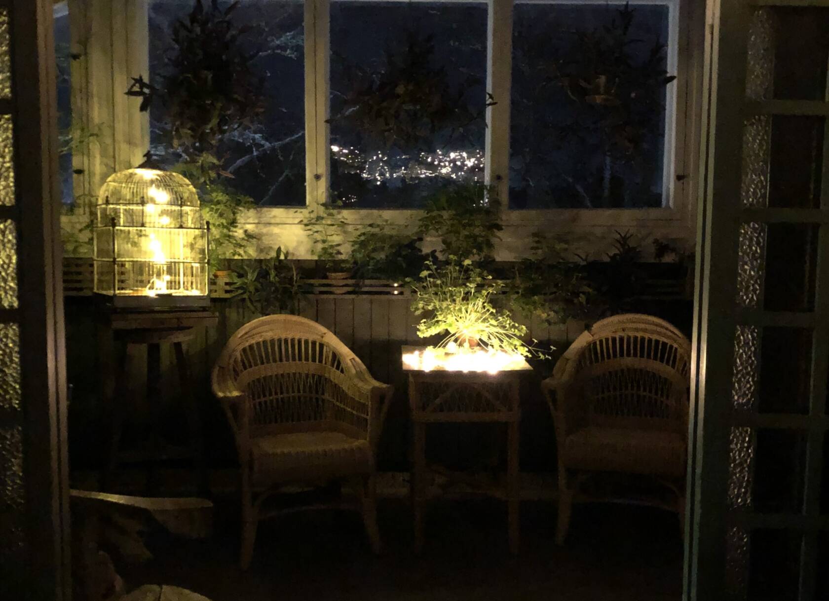Hämärä kuva Visavuoren museon talvipuutarhasta.