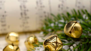 Kulkusia ja kuusenoksa nuottivihkon päällä.