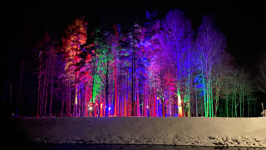 Värikkäitä valoja valaisemassa puita Valometsässä.