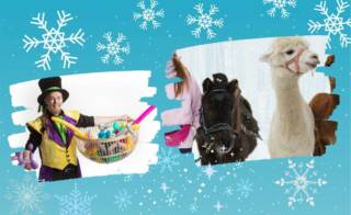 Taikuri, poni ja alpakka.