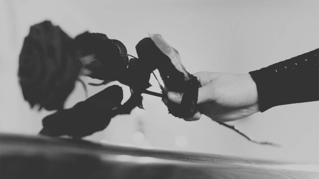 Naisen käsi asettaa ruusun alustalle.