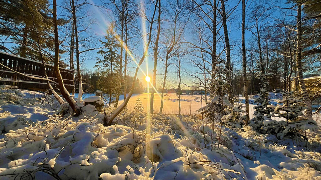 Maisemakuva kirjaslammen lähistöltä.