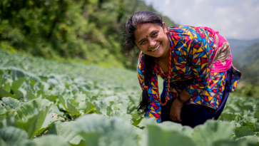 Tummaihoinen nainen kaalipellolla.
