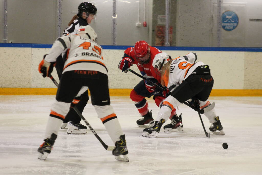 Naiset pelaavat jääkiekkoa.