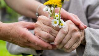 Vanhuksen kädet pitelevät kukkapuskaa.