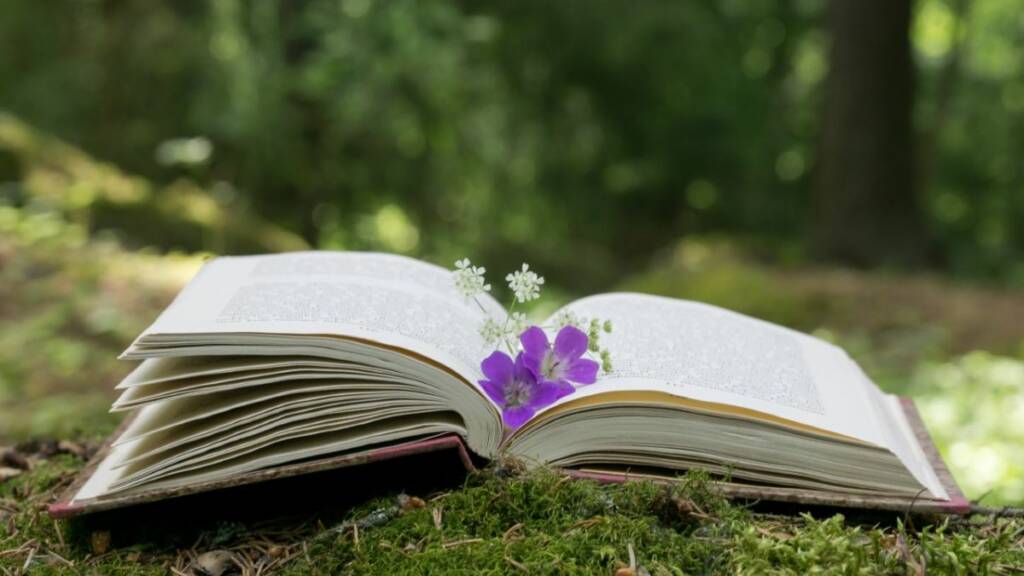 Kirja avoinna nurmikolla. Kirjan välissä kukkia.