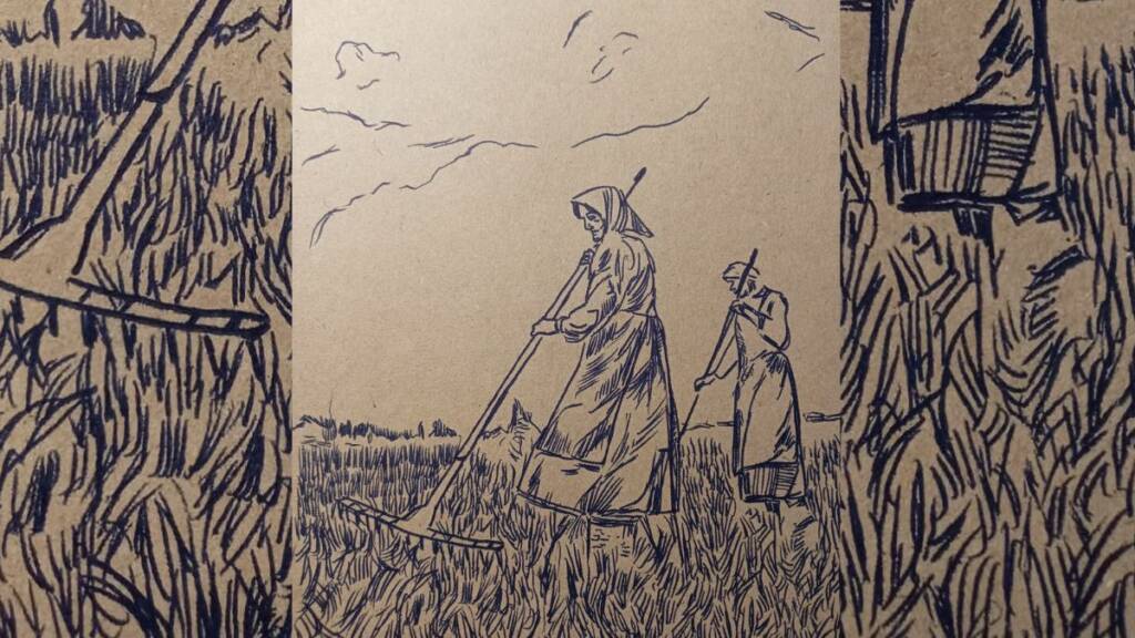 Enrico Mazzonen piirroskuva naisista peltotöissä