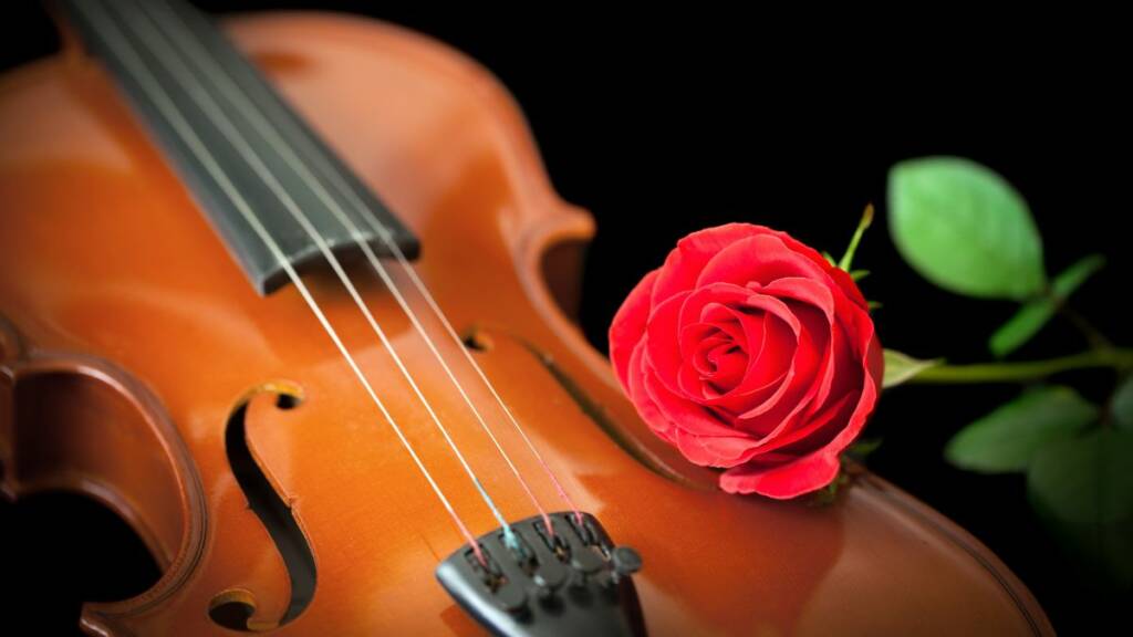 Viulu ja punainen ruusu.