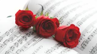 Kolme tummanpunaista ruusua on nuottivihon päällä.