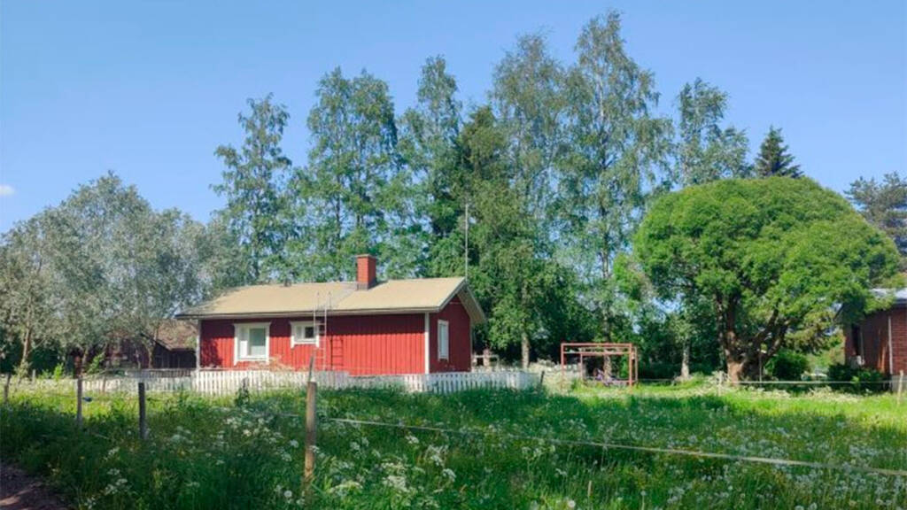 Koivistonpihan pihapiiriä kesällä.