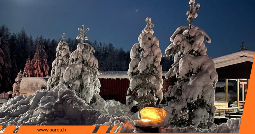 Lumen peittämiä kuusia.